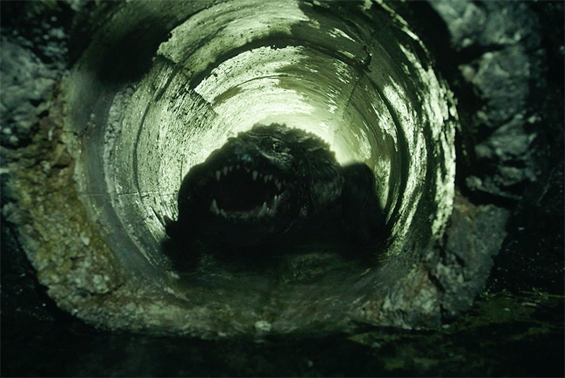 Exclusive Crawl Blu-ray Clip Examines Alligator Aggression!